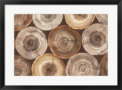 Framed Rings of Life I Brown Print