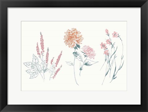 Framed Flowers on White VIII Contemporary Bright Print
