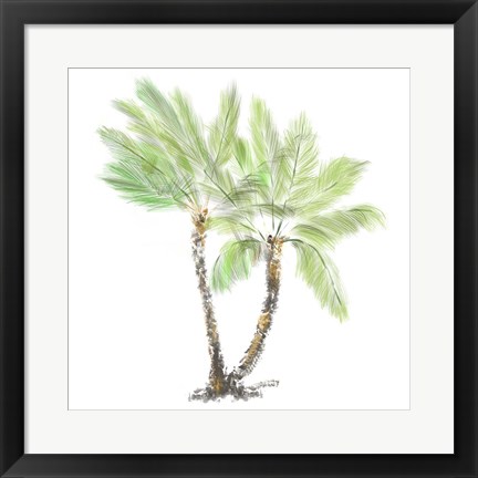 Framed Palm Tree on White I Print