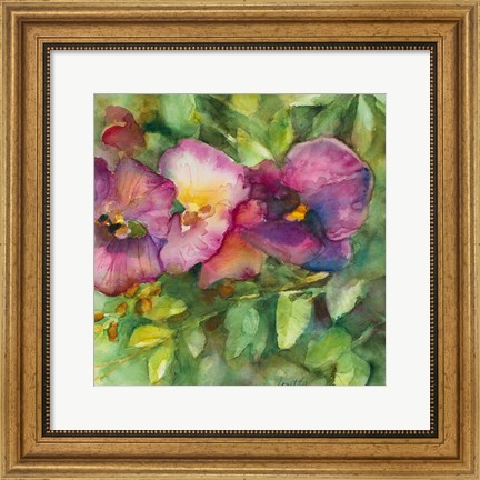 Framed Orchid Garden Print