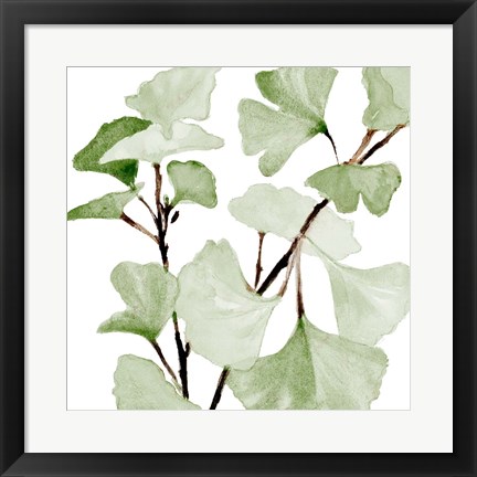 Framed Mint Ginko Stems I Print