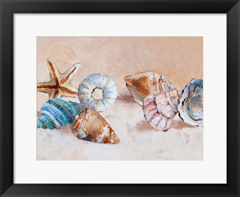 Framed Shells on the Shore Rectangle Print