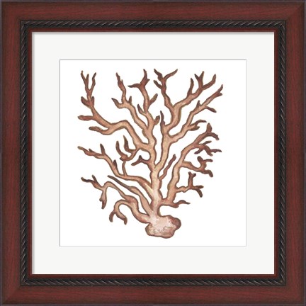 Framed Coastal Icon Coral III Print