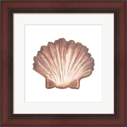Framed Coastal Icon Coral VI Print
