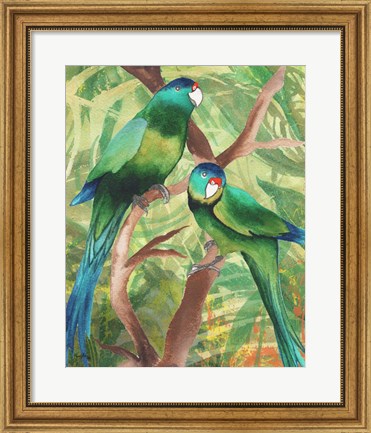 Framed Tropical Birds II Print