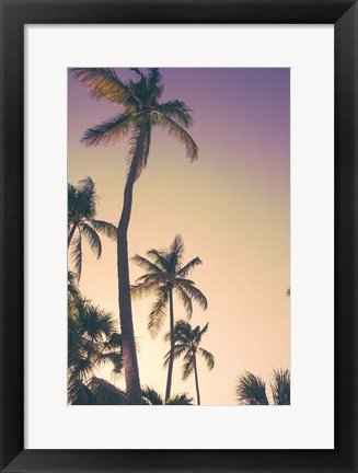 Framed Evening Palms Print