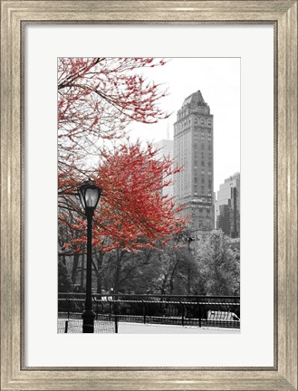 Framed Central Park with Red Tree Print