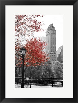 Framed Central Park with Red Tree Print