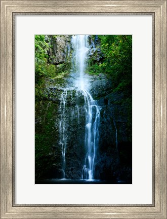 Framed Natural Rain Forest Print