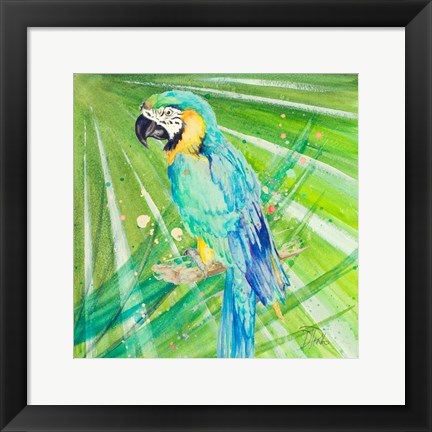 Framed Colorful Parrot Print