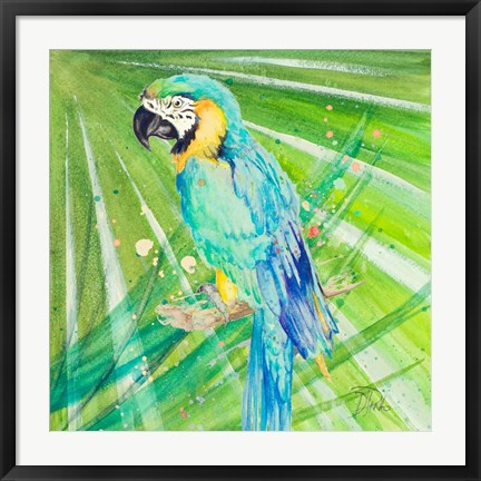 Framed Colorful Parrot Print
