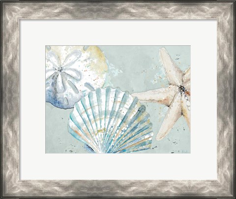 Framed Beach Shells Print