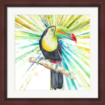Framed Bright Tropical Toucan Print