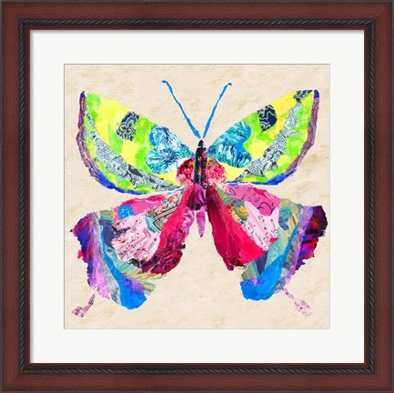 Framed Brilliant Butterfly I Print