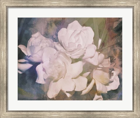Framed Blush Gardenia Beauty I Print