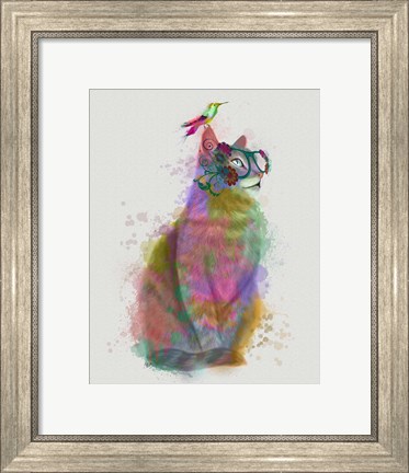 Framed Cat Rainbow Splash 11 Print