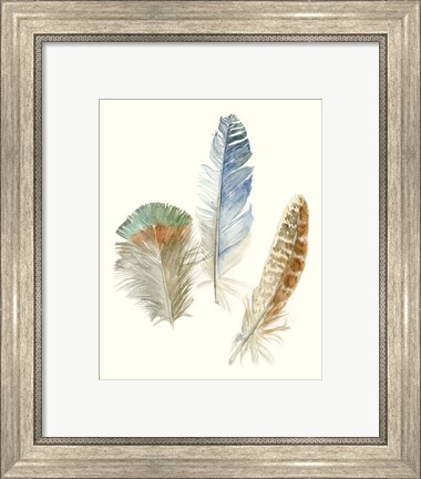 Framed Watercolor Feathers III Print