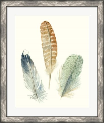 Framed Watercolor Feathers IV Print