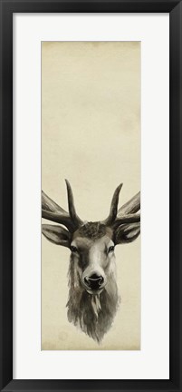 Framed Triptych Elk II Print