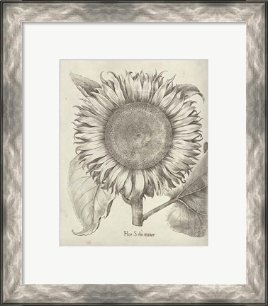 Framed Fresco Sunflower I Print