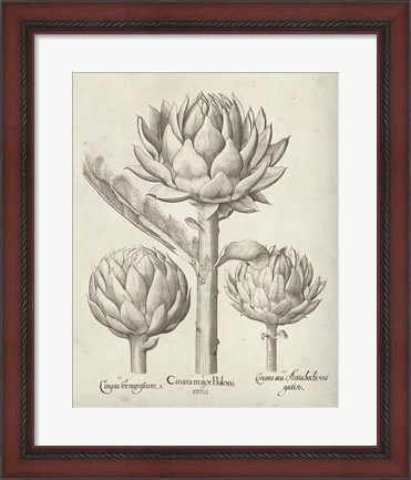 Framed Fresco Artichoke II Print