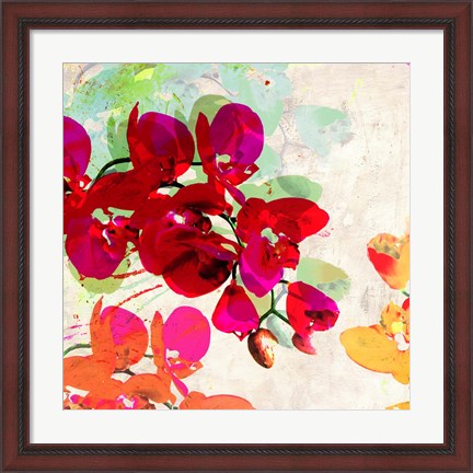 Framed Orchidreams (detail) Print