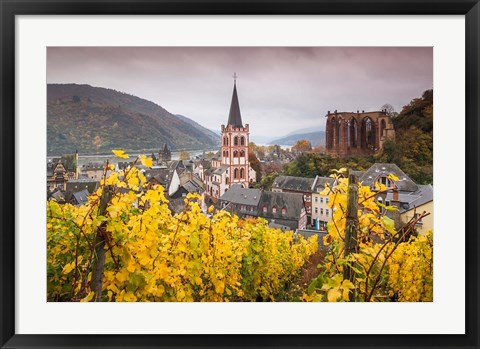 Framed Germany, Rhineland-Pfalz, Bacharach, Elevated Town View In Autumn Print