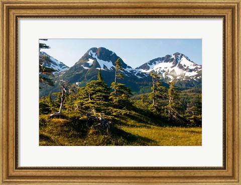 Framed Mount Eccles Near Cordova, Alaska Print