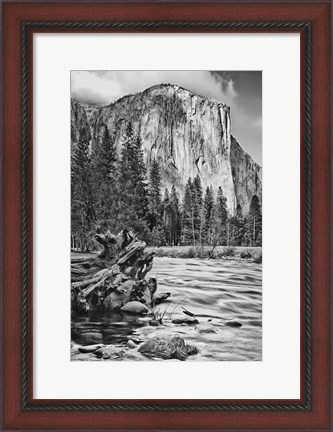 Framed California, Yosemite, El Capitan (BW) Print