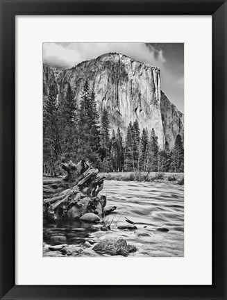 Framed California, Yosemite, El Capitan (BW) Print