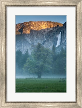 Framed Misty Yosemite Oak Print