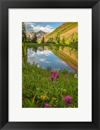 Framed Paradise Divide Pond Reflection Print