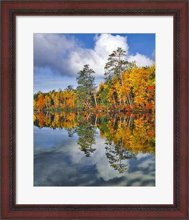 Framed Autumn Scene Of Upper Togue Pond, Maine Print