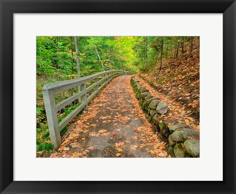 Framed Autumn Trail Leading To Munising Falls Print