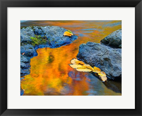 Framed Michigan, Upper Peninsula Fall Colors Reflecting In River With Leaves Floating Print