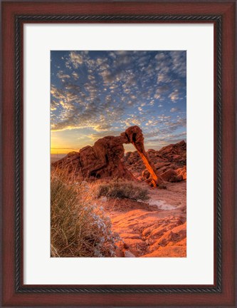 Framed Elephant Rock, Valley Of Fire State Park, Nevada Print
