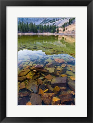 Framed Stella Lake, Great Basin National Park, Nevada Print