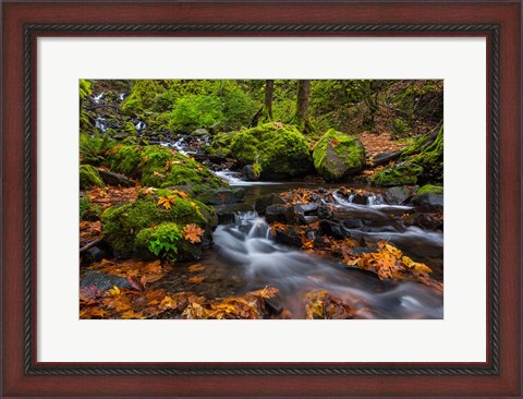 Framed Autumn Color Along Starvation Creek Falls In, Oregon Print
