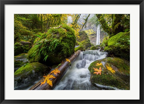 Framed Autumn At Elowah Falls, Oregon Print