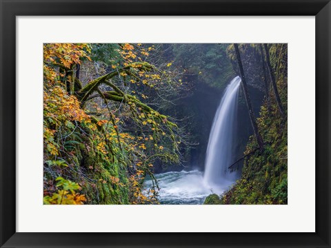Framed Autumn At Metlako Falls On Eagle Creek, Oregon Print