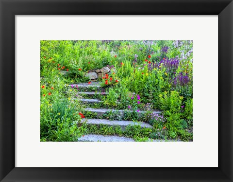 Framed Summer Flowers On Stairs In Pennsylvania Print