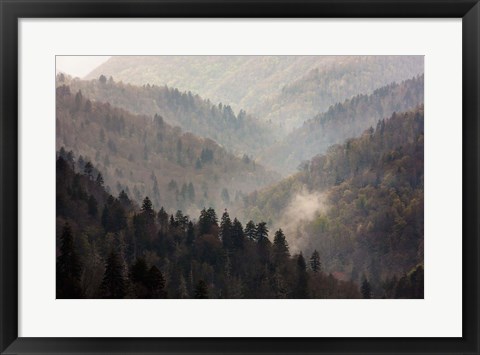 Framed Mist Rises In A Valley Of Tree-Lined Ridges Print