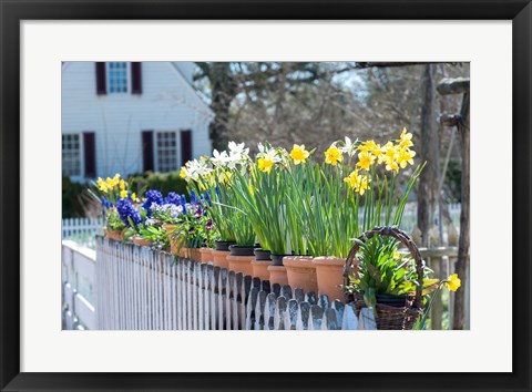 Framed Garden At Colonial Williamsburg, Virginia Print