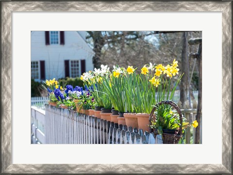 Framed Garden At Colonial Williamsburg, Virginia Print