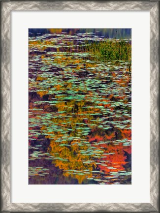 Framed Lily Pads And Autumn Reflections At Babcock State Park Print