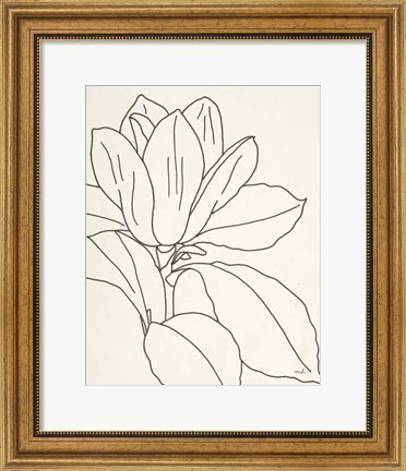 Framed Magnolia Line Drawing v2 Crop Print