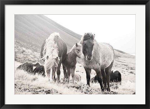 Framed Horses of Hofn I BW Print