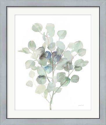 Framed Eucalyptus III Cool Print