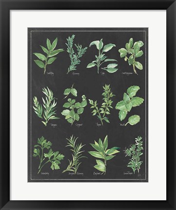 Framed Herb Chart on Black White Border Print