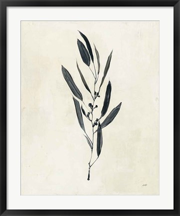 Framed Botanical Study I Print
